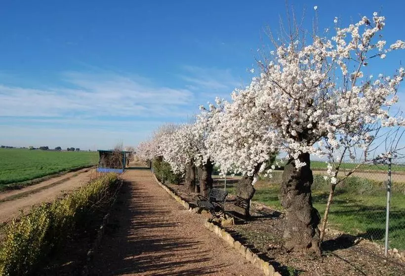 هتل El Cortijo De Daimiel