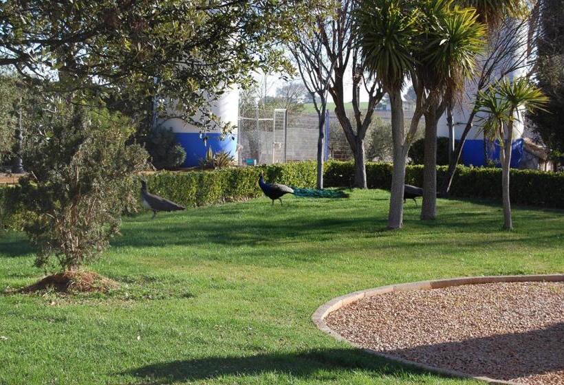 Hotel El Cortijo De Daimiel