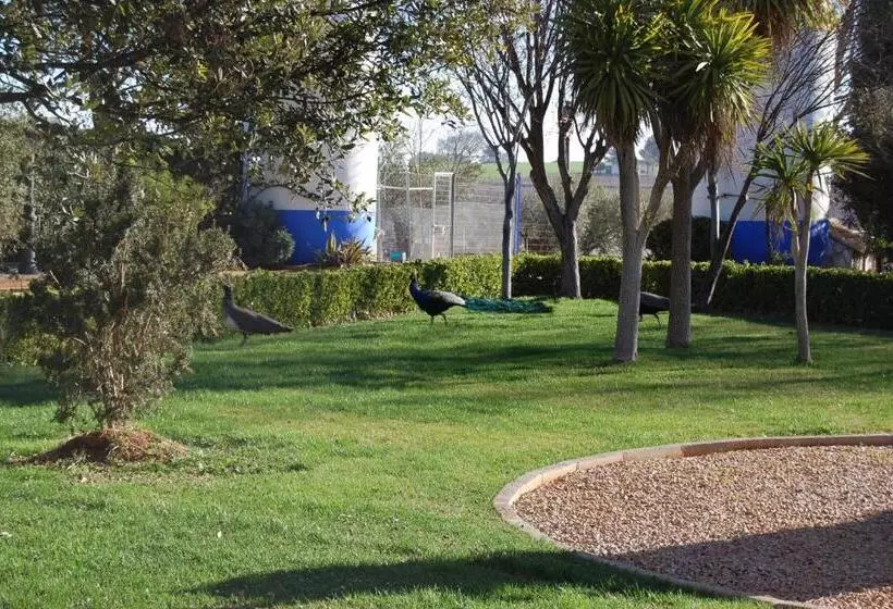 هتل El Cortijo De Daimiel