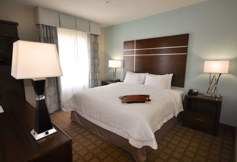 호텔 Hampton Inn & Suites Hutto Austin