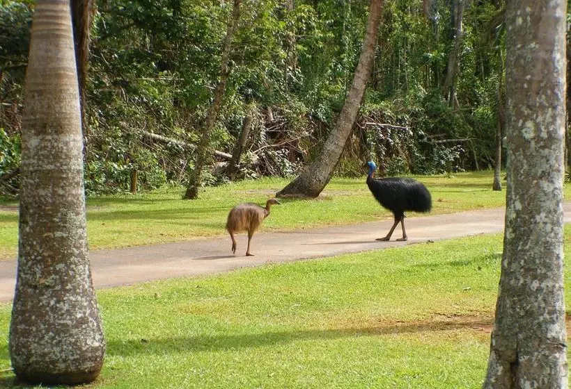 호텔 Mission Beach Hideaway Holiday Village