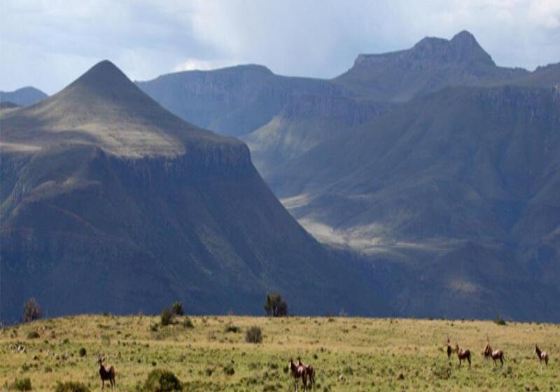 فندق Mount Camdeboo Game Reserve