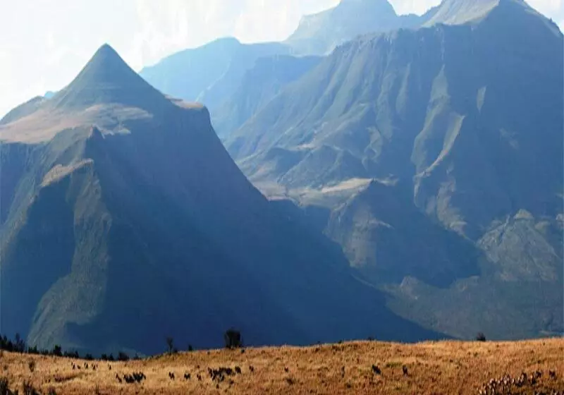 فندق Mount Camdeboo Game Reserve