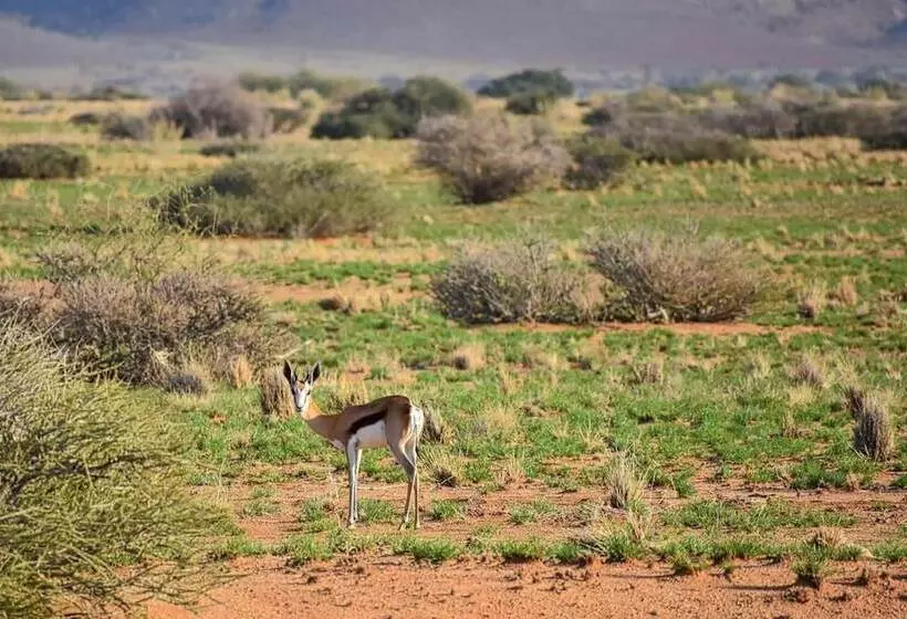 هتل Solitaire Desert Farm