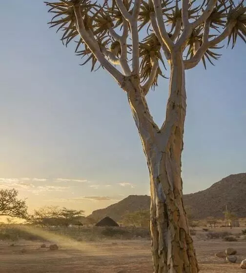 هتل Solitaire Desert Farm