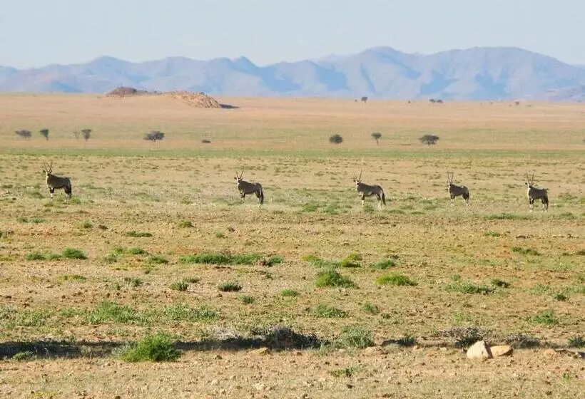 هتل Solitaire Desert Farm