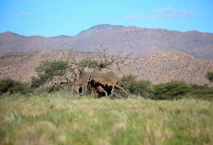 هتل Solitaire Desert Farm