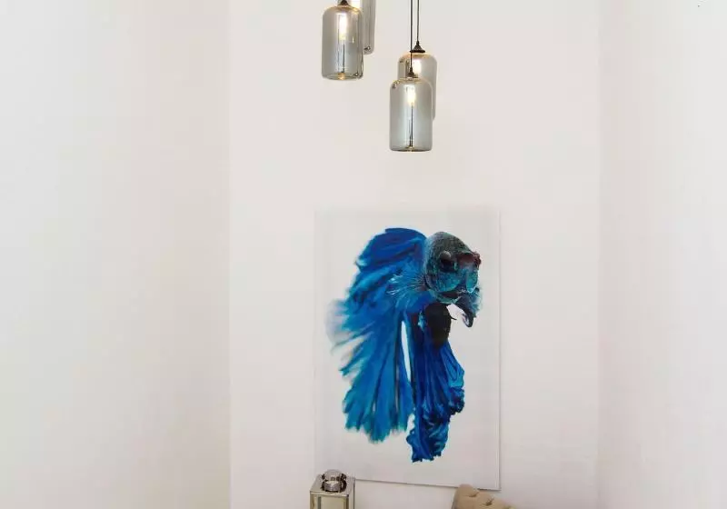 호텔 The Ocean Club, A Luxury Collection Resort, Costa Norte