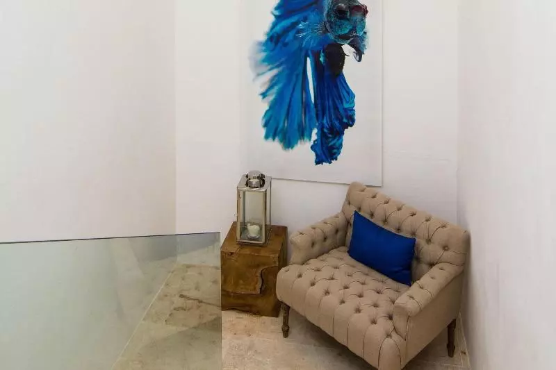 호텔 The Ocean Club, A Luxury Collection Resort, Costa Norte