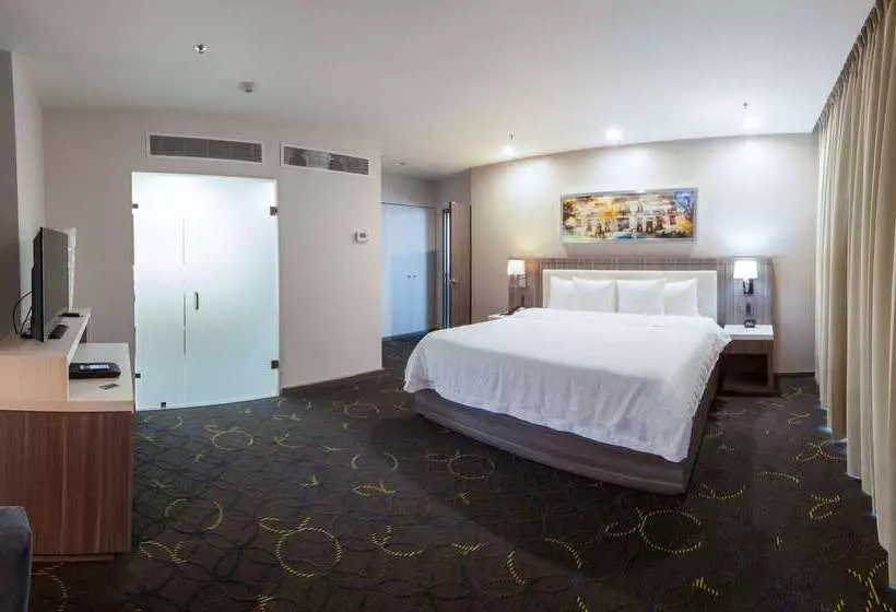 בית מלון כפרי Hampton Inn & Suites By Hilton Aguascalientes Airport