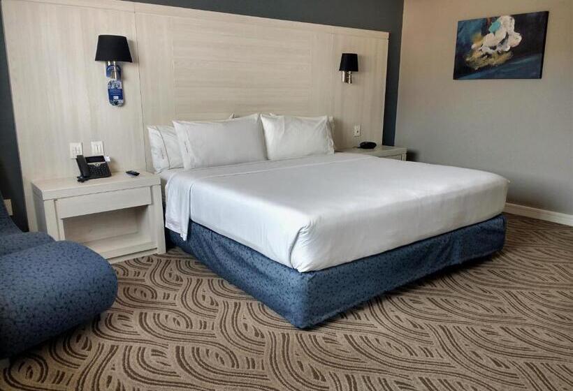 ホテル Holiday Inn Express Pachuca, An Ihg