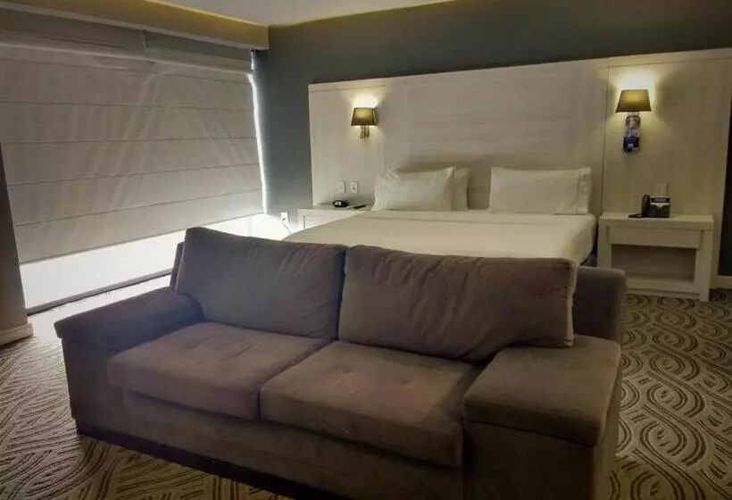 ホテル Holiday Inn Express Pachuca, An Ihg