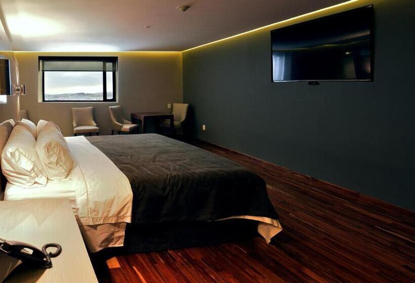 ホテル Holiday Inn Express Pachuca, An Ihg