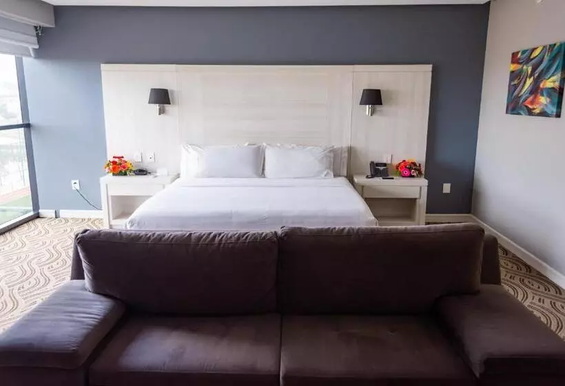 ホテル Holiday Inn Express Pachuca, An Ihg