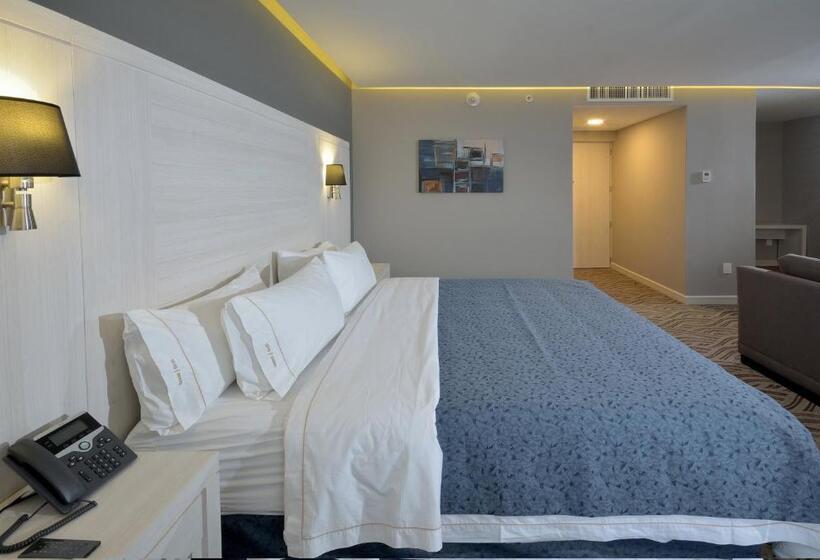 ホテル Holiday Inn Express Pachuca, An Ihg