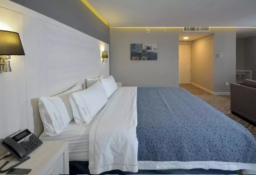 ホテル Holiday Inn Express Pachuca, An Ihg