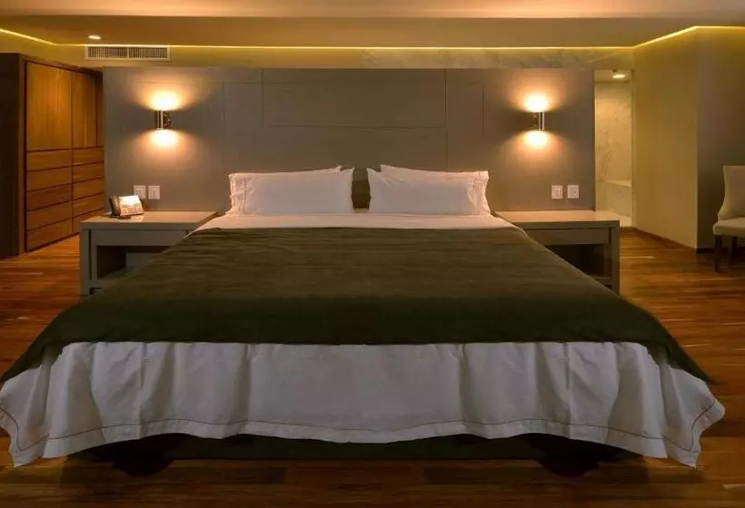 ホテル Holiday Inn Express Pachuca, An Ihg