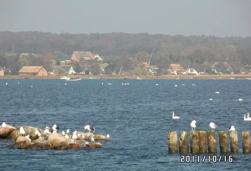 בית מלון כפרי Pension Deichgraf