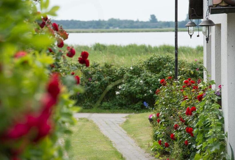 酒店 Pension Deichgraf