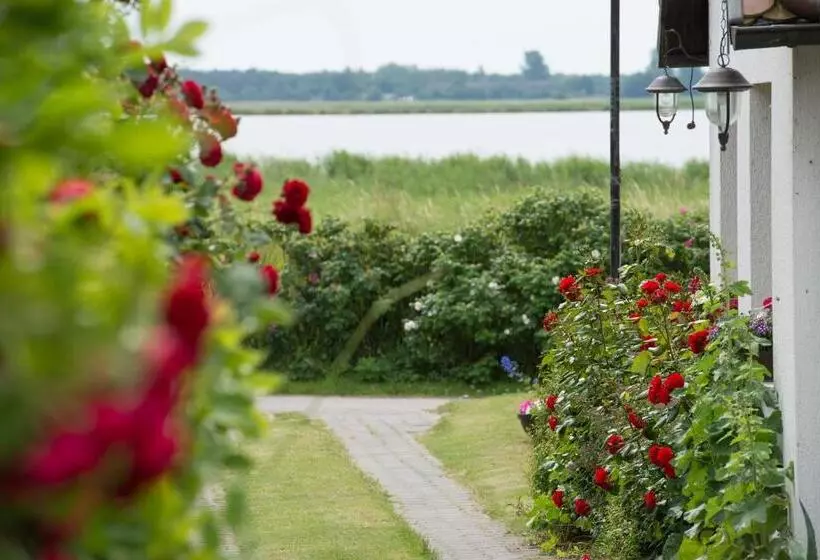 בית מלון כפרי Pension Deichgraf