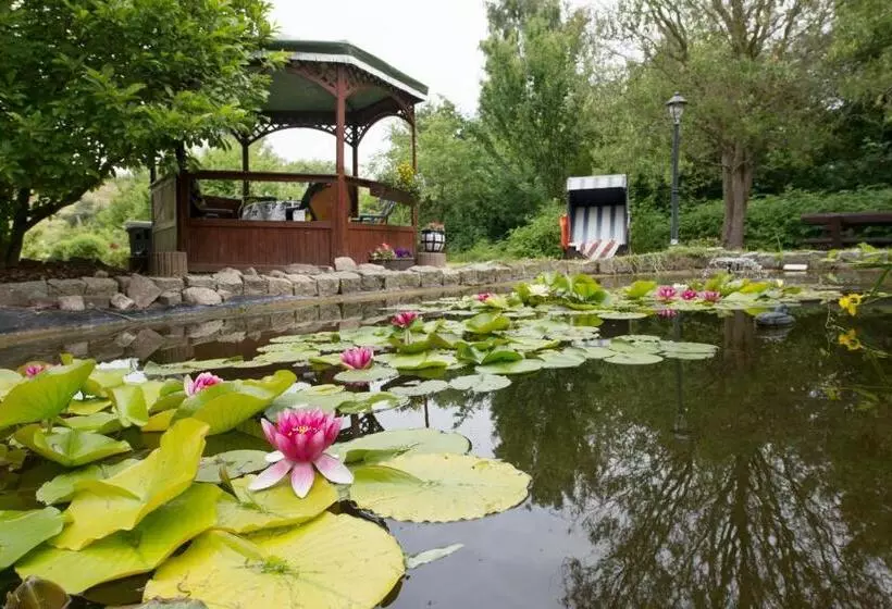 בית מלון כפרי Pension Deichgraf