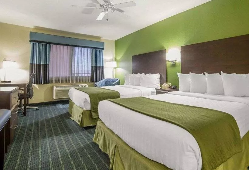 ホテル Quality Inn Needles