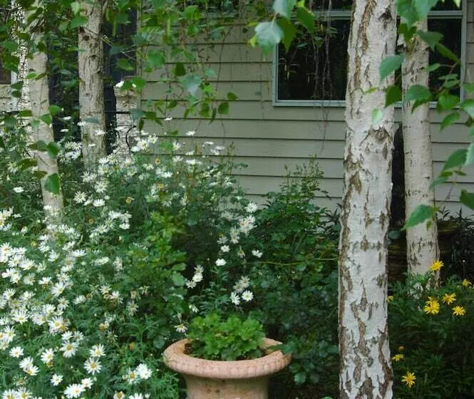 酒店 Rosewood Guesthouse