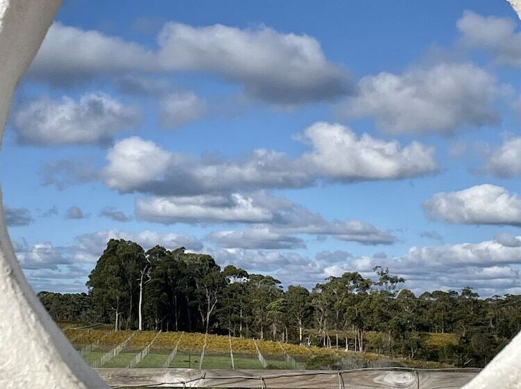 בית מלון כפרי Rosewood Guesthouse