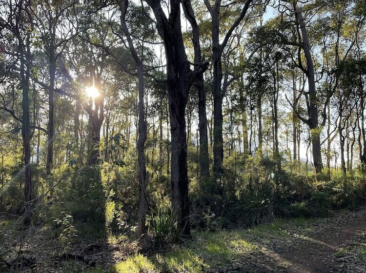 בית מלון כפרי Rosewood Guesthouse