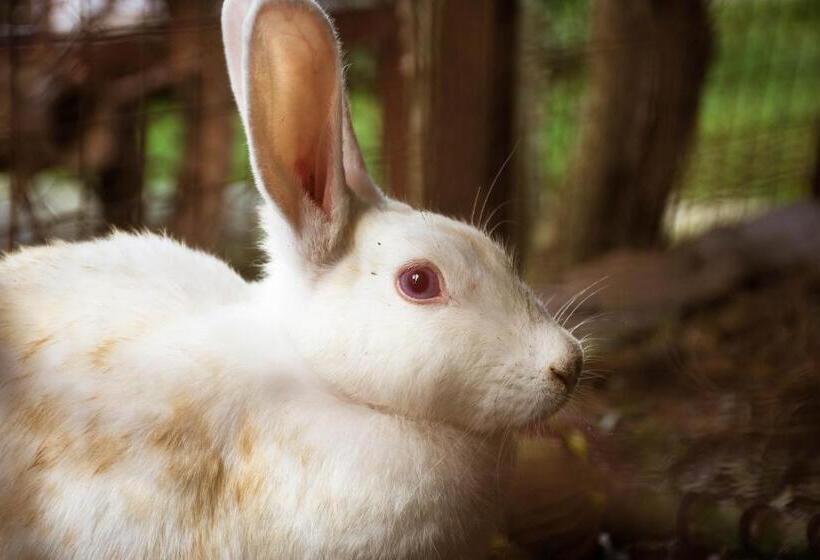 Отель Zawadi House Lodge