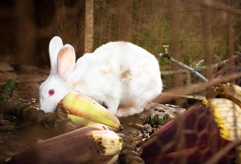 Отель Zawadi House Lodge