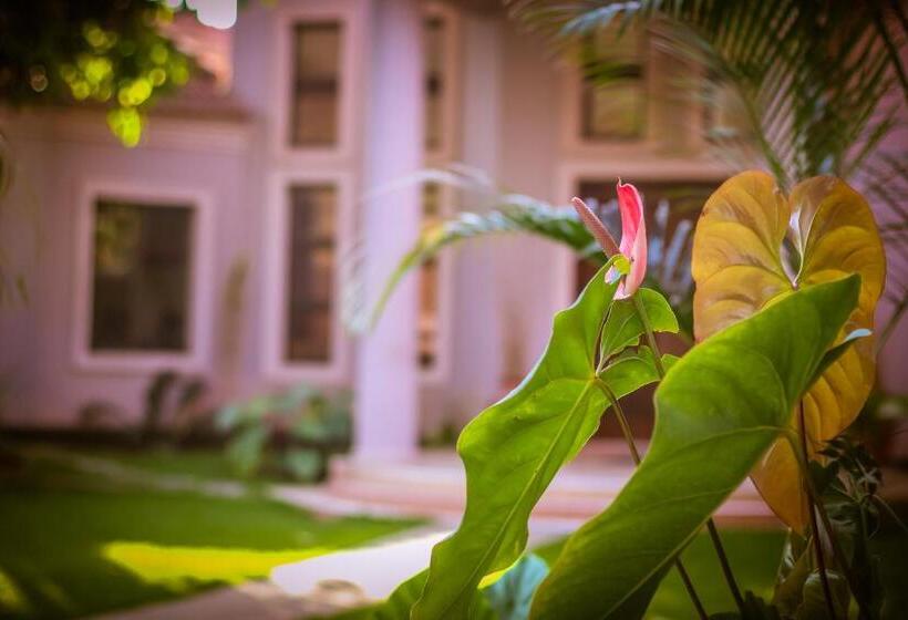 Отель Zawadi House Lodge