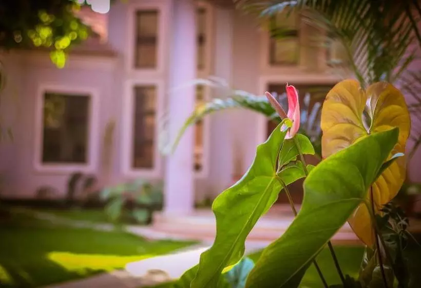 Отель Zawadi House Lodge