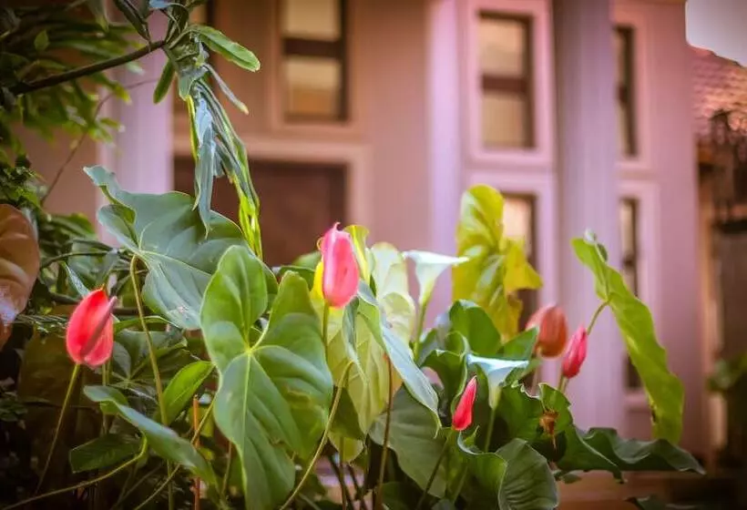 Отель Zawadi House Lodge