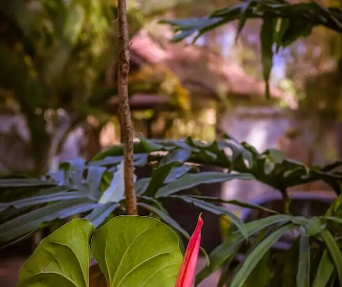 Отель Zawadi House Lodge