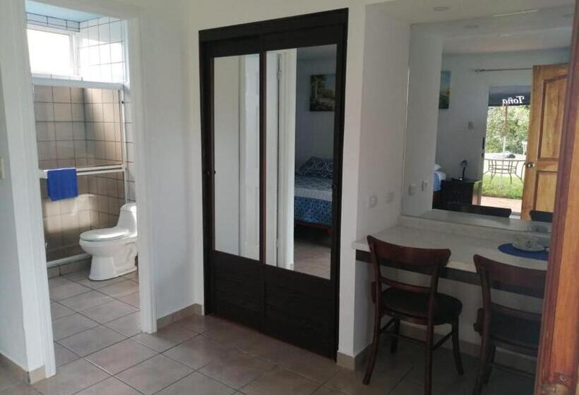 Отель Grosseto Palma Real