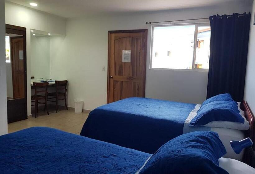 Отель Grosseto Palma Real