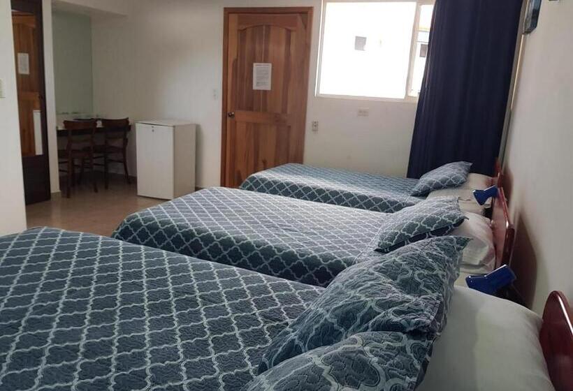 Отель Grosseto Palma Real