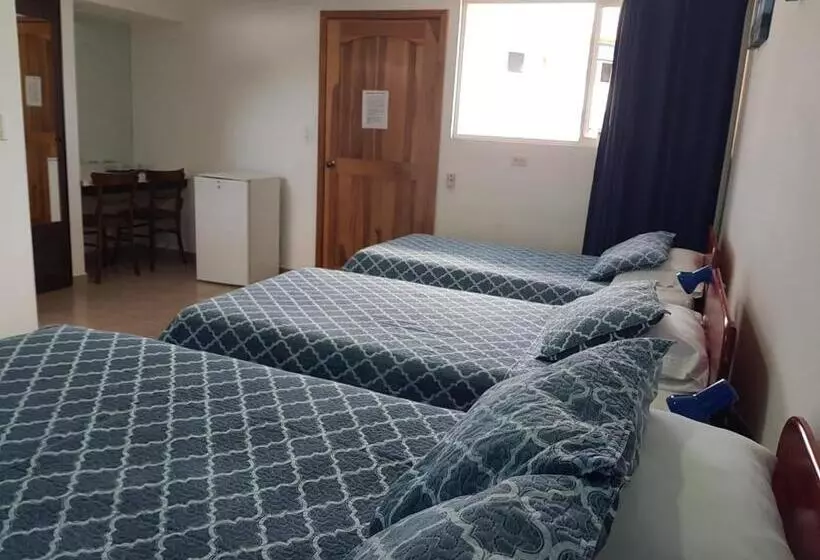 Hotelli Grosseto Palma Real