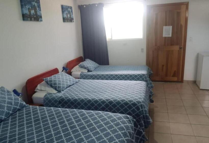 Отель Grosseto Palma Real