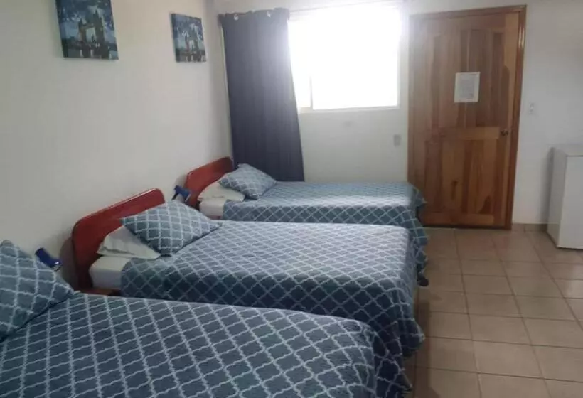 Hotelli Grosseto Palma Real