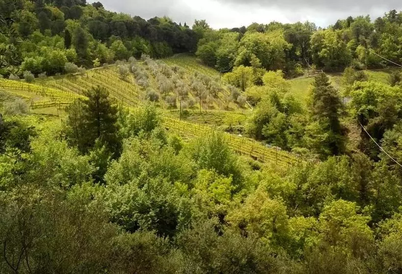Little B&b Della Pieve