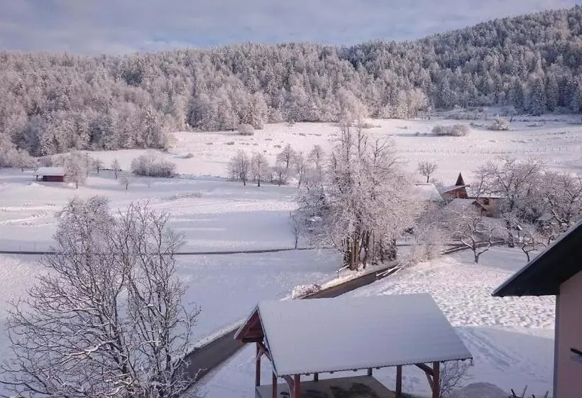 ペンション Apartment Vrtacnik