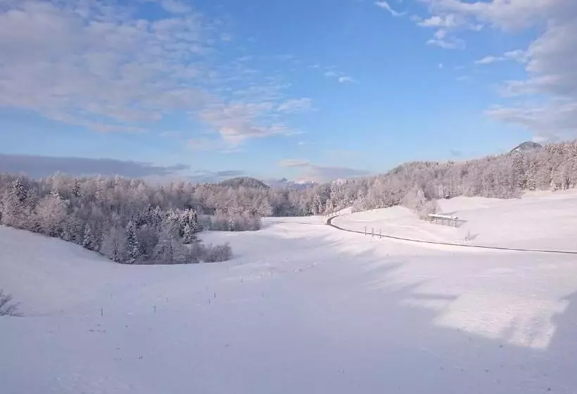 ペンション Apartment Vrtacnik