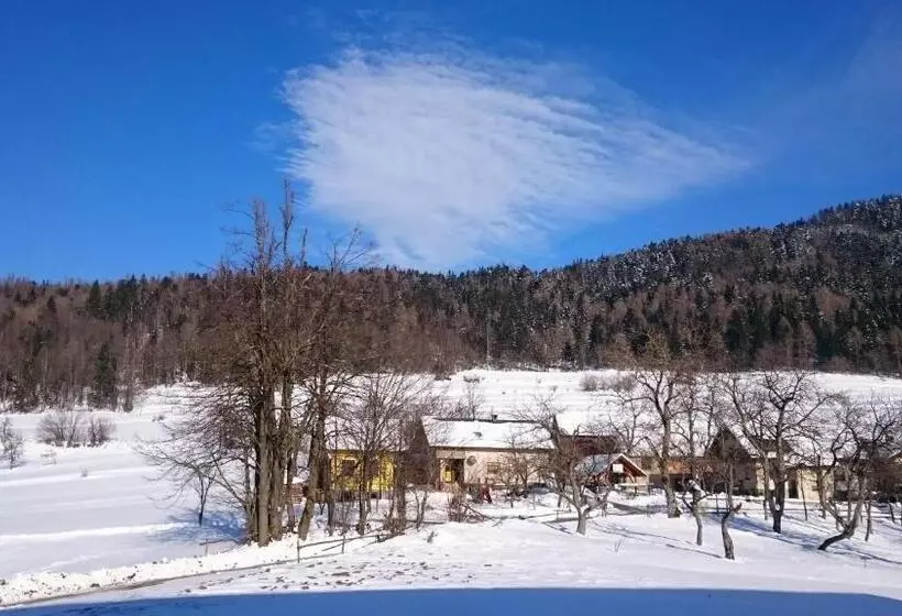 ペンション Apartment Vrtacnik