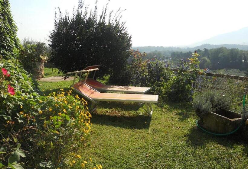 تختخواب و صبحانه La Pieve Di Sant Andrea