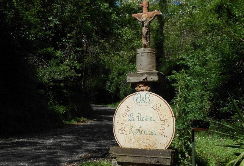 تختخواب و صبحانه La Pieve Di Sant Andrea