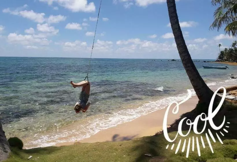 Hotelli Derek S Place Eco Lodge