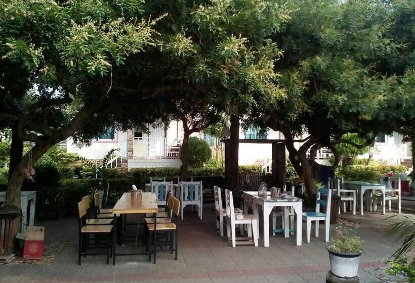 هتل ณดา เกาะล้าน รีสอร์ท