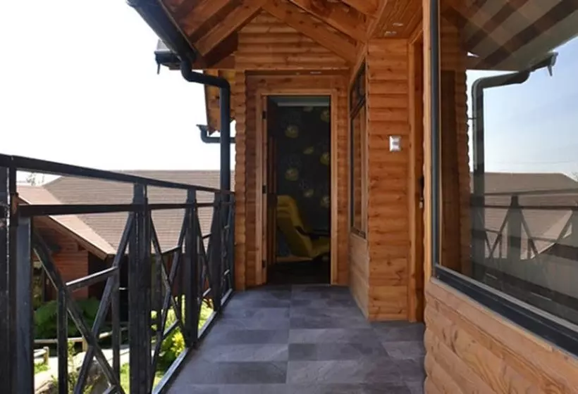 Hotel Pitrufquén